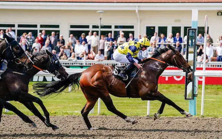 The crowd at Chelmsford City Racecourse watch horses race by.