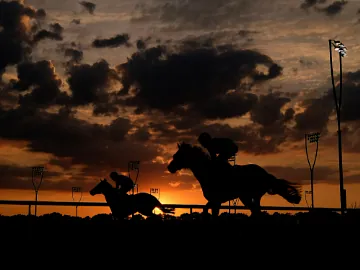 Silhouette of horses racing on the track at Chelmsford during sunset.