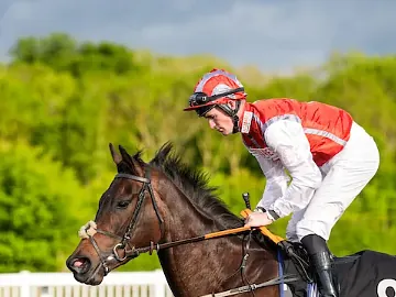 Horse and Jockey on the track at Chelmsford City Racecourse