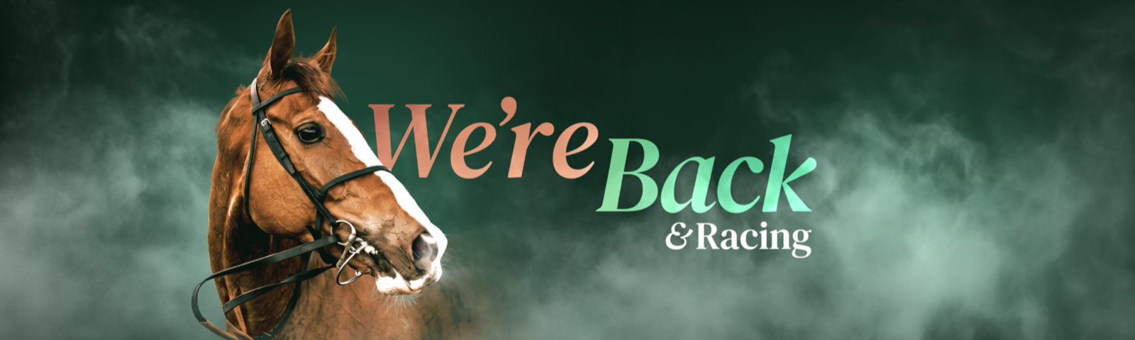 Chelmsford racecourse we're back racing advert