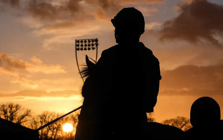 Silhouette of a jockey and horse on the track at Chelmsford at sunset.