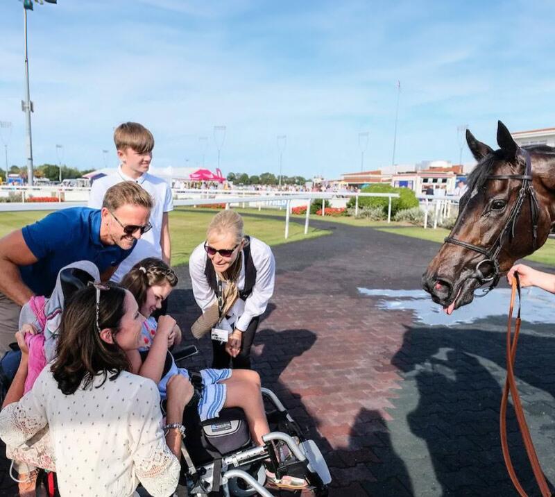 Team of people showing a horse to a child in a wheelchair.