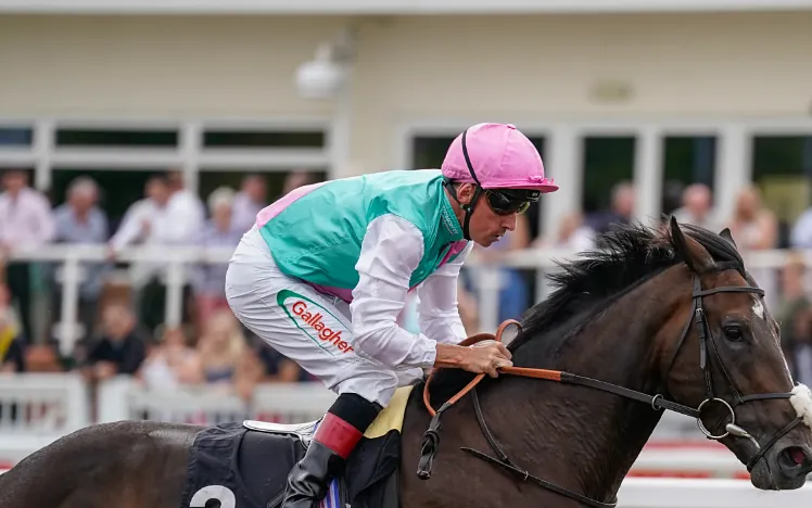 A close up of horse and jockey focused in front of the grandstand at Chelmsford.