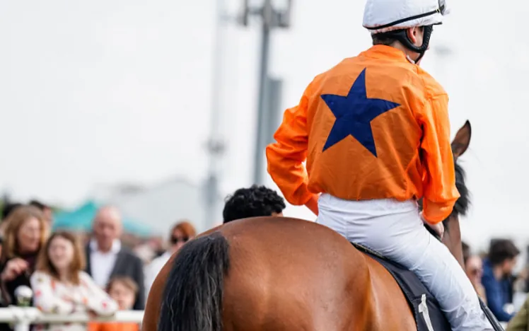 Chelmsford racecourse news