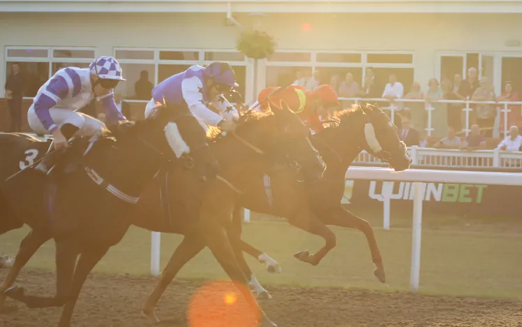 A close up of the racing action at Chelmsford Racecourse in the sunshine