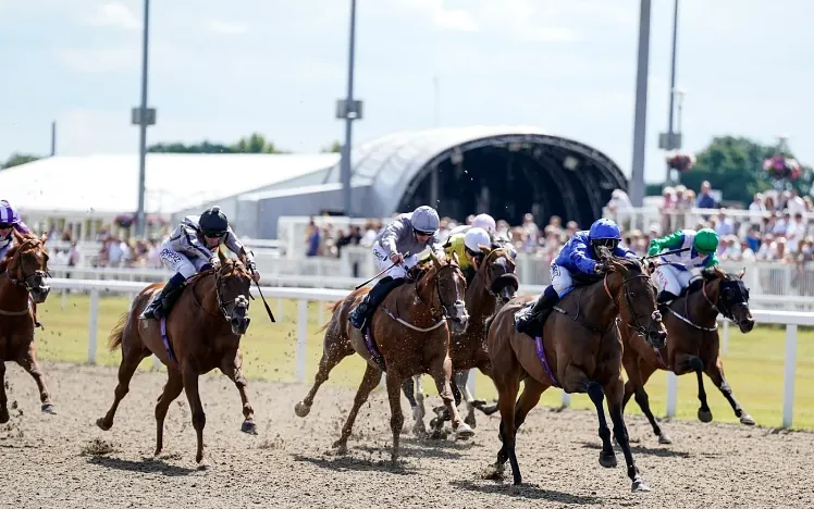Horses race at full speed down the straight at Chelmsford City Racecourse.