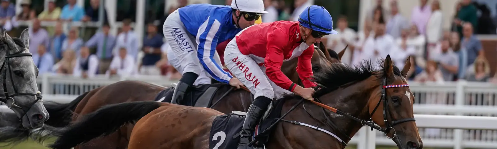 Jockeys racing at Chelmsford.
