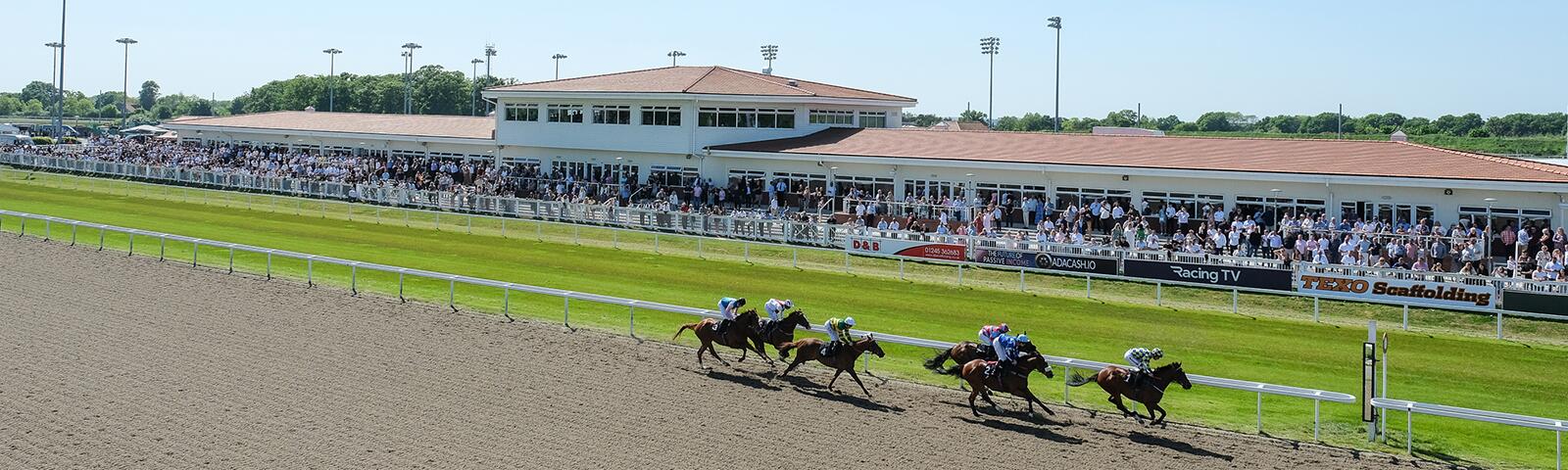 Horse racing at Chelmsford City Racecourse.