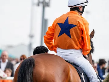 Chelmsford racecourse news