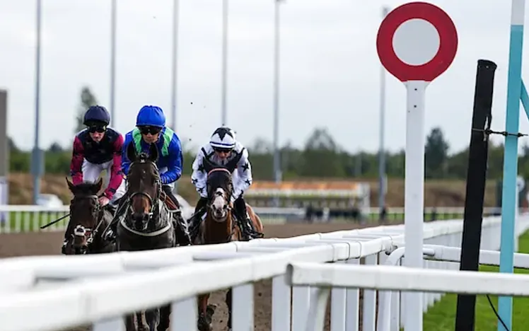 Jockeys racing towards the finish line on the all weather track at Chelmsford.